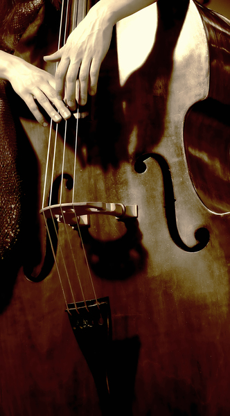 musiCN_1645.jpg