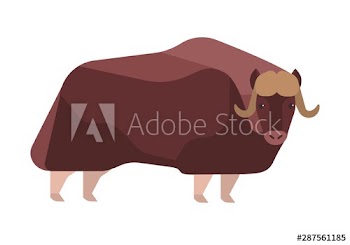 Musk-ox flat vector illustration