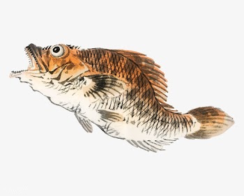 Muskellunge by Kōno Bairei (1844-1895). Digi.. | Free stock vector - 467162