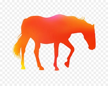 Mustang American Paint Horse Equine-assisted therapy Stallion -  