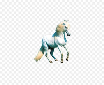 Mustang Animal Computer file - horse,Steed 