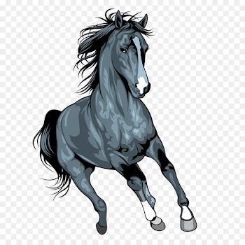 Mustang Arabian horse Pony Illustration Art - grey horse 