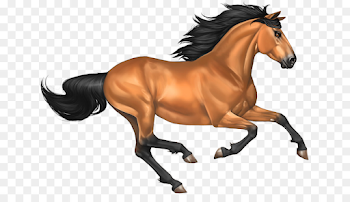 Mustang Buckskin - Mustang Horse PNG Image png download - 700*503 ...