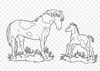 Mustang Foal Ausmalbild Pony Coloring book - mustang 