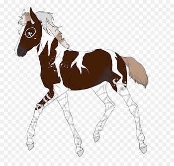 Mustang Foal Mare Stallion Colt - mustang 