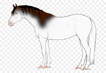 Mustang Foal Mare Stallion Halter - mustang 