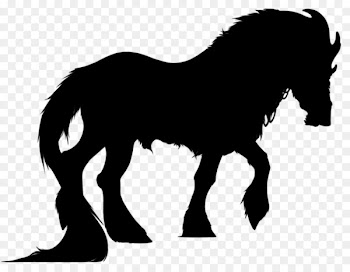 Mustang Foal Stallion Colt Halter -  