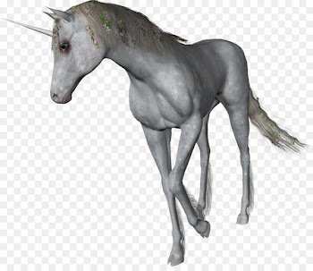 Mustang Foal Stallion Colt Mane - mustang 