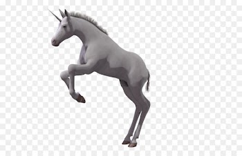 Mustang Foal Stallion Colt Mare - Horse Sketch,unicorn 