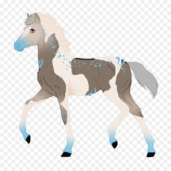 Mustang Foal Stallion Colt Mare - mustang 