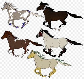 Mustang Foal Stallion Colt Rein - chrysanths 