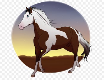 Mustang Foal Stallion Mare Colt - mirage background 