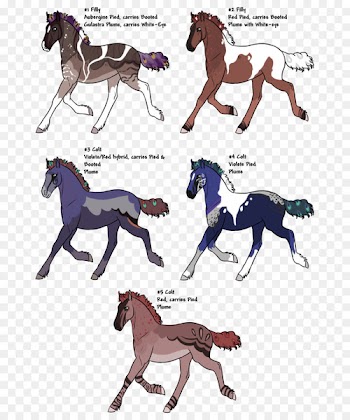 Mustang Foal Stallion Pony Horse Tack - mustang 
