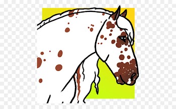 Mustang, Halter, Snout, Horse PNG
