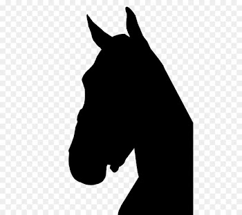 Mustang Halter Stallion Dog Canidae -  