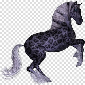 Mustang Leopard Mammal Unicorn 1.2.3, mustang transparent background PNG clipart