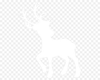 Mustang /m/02csf Line art Drawing Silhouette - wedding invite 