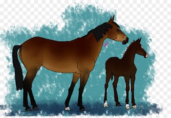 Mustang, Mare, Foal, Horse, Vertebrate PNG