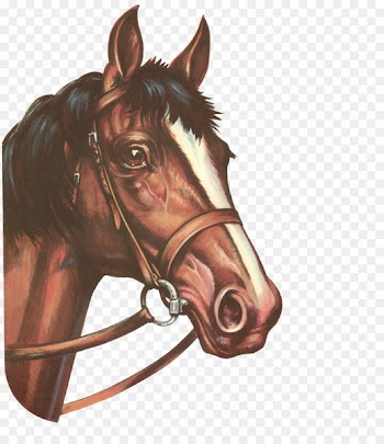 Mustang Pony Birthday - Color hand-painted horse 