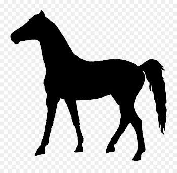 Mustang Pony Foal Mare Stallion -  