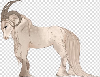Mustang Pony Stallion Mane Mare, watercolor horse transparent background PNG clipart