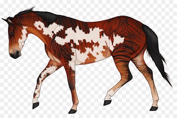 Mustang Pony Stallion Mare Andalusian horse - bay icelandic pony 
