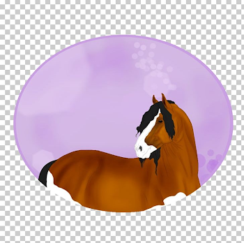 Mustang Rein Freikörperkultur Sadio Mané Horse PNG, Clipart, 2019 ...
