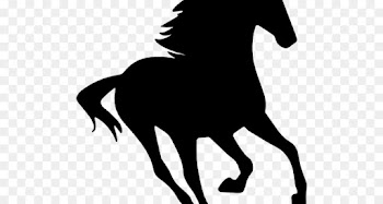 Mustang, Silhouette, American Quarter Horse, Horse, Vertebrate PNG