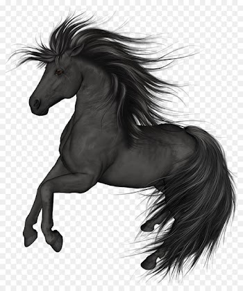 Mustang Stallion Arabian horse Black Colt - Painting 