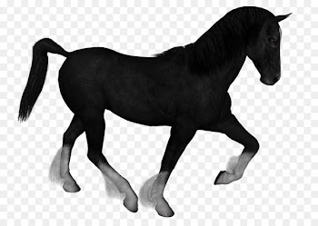 Mustang Stallion Clip art Image Foal - dez graphic 