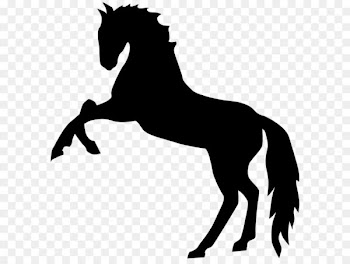 Mustang Stallion Clip art - Standing Horse Silhouette PNG Transparent Clip Art Image 