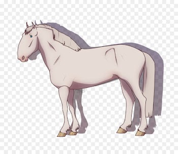 Mustang Stallion Foal Mare Colt - mustang 