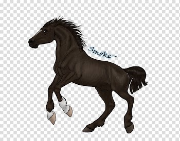Mustang Stallion Foal Mare Colt, Smoke black transparent background PNG clipart