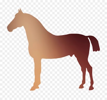 Mustang Stallion Foal Pony Colt -  