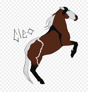 Mustang Stallion Pony Andalusian horse Colt - mustang 