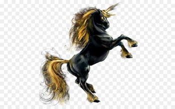 Mustang Stallion Rearing Pony - mustang 