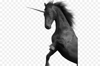 Mustang Unicorn Black and white - unicorns 