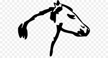 Mustang Watermark Clip art - Horse Head Vector 