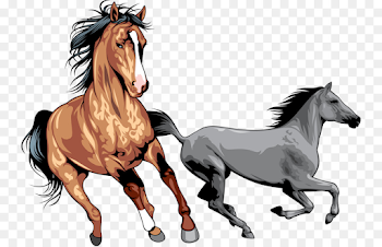 Mustang Wild horse Clip art - Galloping horses png download - 800 ...