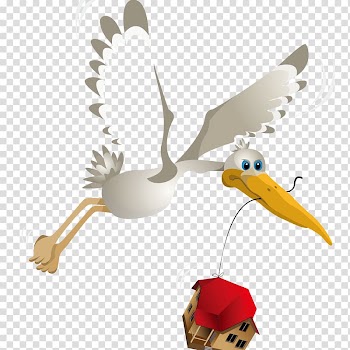 Mute swan Bird Crane Pelican, Beautiful White Swan transparent background PNG clipart