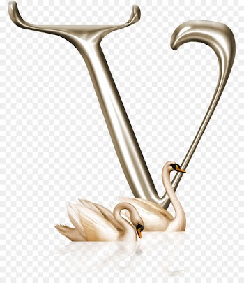 Mute swan Duck The Magic Swan Geese Goose Portable Network Graphics - mineralien 