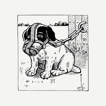 Muzzled puppy, animal drawing, vintage | Free PSD - rawpixel