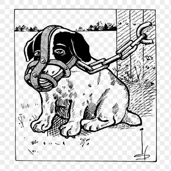 Muzzled puppy png, animal clipart, | Free PNG - rawpixel