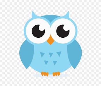 My Daughter Attended A Nursery Before Coming To St - Cartoon Owl