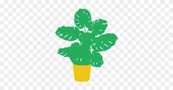 My Favorite Plant Is Called Monstera Deliciosa - Indoor Big Leaf Plants