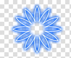 My first Lights, blue and white flower transparent background PNG clipart