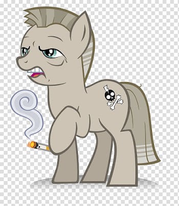 My Little Pony Cat Equestria , Cat transparent background PNG clipart