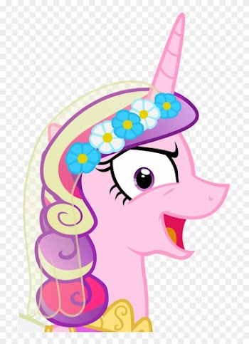 My Little Pony Princess Cadence Evil - Evil Princess Cadence Wedding Dress