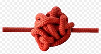My Stomach Was In Knots - Rose
