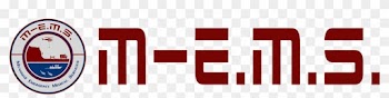 Myanmar Emergency Medical Services - Emergency Medical Services